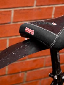 Ass Saver bicycle mudguard