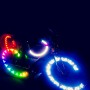 MonkeyLectric bike spoke lights